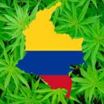 Alimentos con base en cannabis comienzan a comercializarse legalmente en Colombia: atún con aceite de cáñamo el primero en salir a la venta
